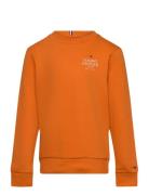 Th Logo Puff Embr Reg Sweatshirt Tommy Hilfiger Orange