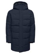 Onscarl Life Long Quilted Coat Otw Noos ONLY & SONS Navy