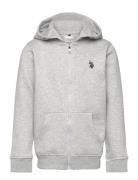 Dhm Bb Zip Hoodie U.S. Polo Assn. Grey