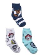 Socks Paw Patrol Patterned