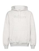 Hco. Guys Sweatshirts Hollister Grey