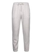 Hco. Guys Sweatpants Hollister Grey