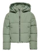 Kmgdolly Short Puffer Jacket Otw Kids Only Green