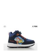 Paw Patrol High Sneaker Leomil Navy