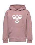 Hmlcuatro Hoodie Hummel Pink