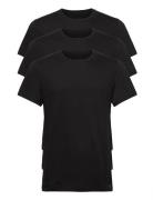 S/S Crew Neck 3Pk Calvin Klein Black