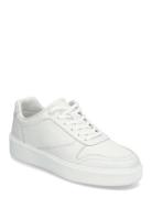 Low Top Lace Up Bskt Lth Calvin Klein White