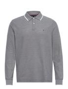 L/S Oxford Tipped Reg Polo Tommy Hilfiger Navy