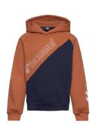 Hmlaxel Hoodie Hummel Brown