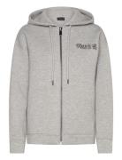 Cmscuba-Hoodie Copenhagen Muse Grey