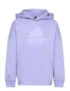 U Fi Logo Hd Adidas Sportswear Purple