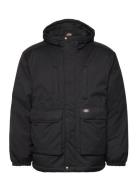 Plains Coat Dickies Black