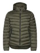 Hooded Fuji Sport Padded Jkt Superdry Green