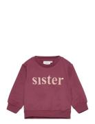 Tnsmolly Sweatshirt The New Burgundy