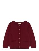 Cardigan Knit Fixoni Burgundy