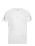 Mftp Tee M Adidas Performance White