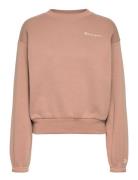 Crewneck Sweatshirt Champion Brown