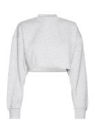 Studio Over D Cropped Crew Björn Borg Grey