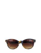 Sunglass Geggamoja Brown