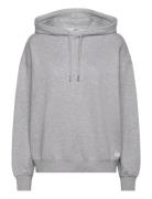 Studio Over D Hoodie Björn Borg Grey