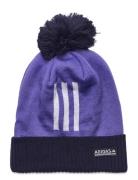 M Pom 3S Beanie Adidas Golf Purple