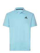 Clubhouse 3Bar Polo Adidas Performance Blue