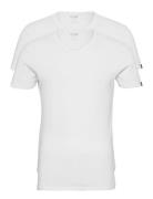 Puma Basic 2P V-Neck PUMA White