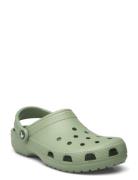 Classic Crocs Green