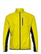 Men's Core Jacket Newline Yellow