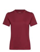 Borg T-Shirt Björn Borg Burgundy