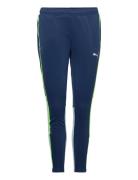 Individualblaze Training Pants PUMA Blue