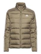 W Ess 3S L D J Adidas Sportswear Khaki