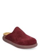 Sl Ivy Suede Aubergine Scholl Burgundy