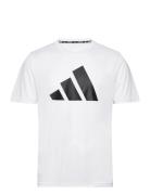 Run It Tee Adidas Performance White