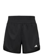 Pacer Knit High Adidas Performance Black