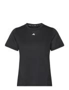 Wtr D4T T Adidas Performance Black