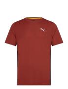 Run Favorite Velocity Tee PUMA Burgundy