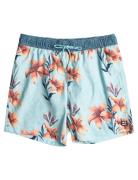 Vacay Lb Billabong Blue