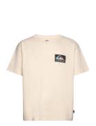 Back Flash Ss Quiksilver Beige