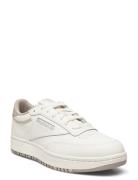 Club C Double Reebok Classics Cream