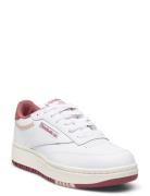 Club C Double Reebok Classics White