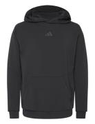 D4T Hoodie Adidas Performance Black