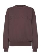 Palmin Kendal Crew Billabong Brown