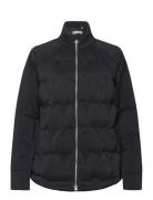 Chev Primaloft Jacket Callaway Navy