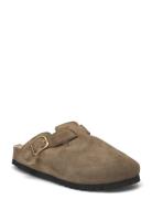 Sl Fae New F Suede Khaki Scholl Khaki