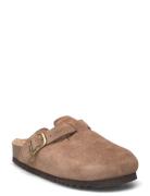 Sl Fae New F Suede Taupe Scholl Brown