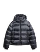 Hooded Luxe Sports Puffer Superdry Navy