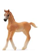 Schleich Arab Foal Schleich Patterned