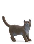 Schleich British Shorthair Cat Schleich Patterned
