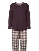 Cotton Flannel Pyjamas Lady Avenue Burgundy